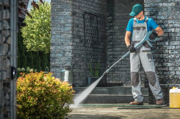 Best Roof Washing  in Cortland, NY