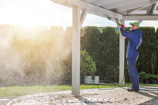Best Dumpster Area Cleaning  in Cortland, NY